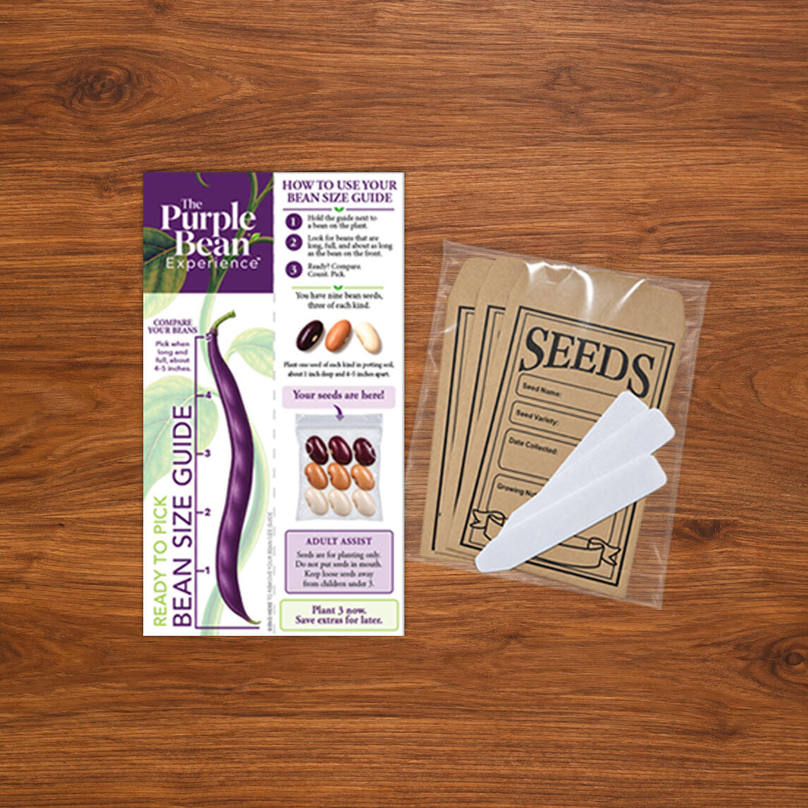 Single Experience Book Kit The Purple Bean Experience logo.